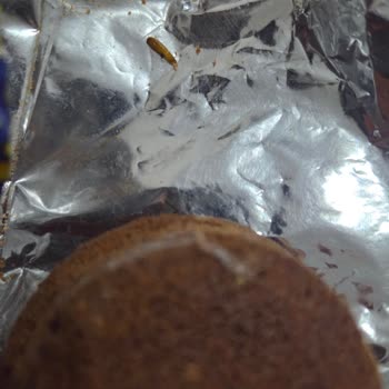 Eti Topkek Ürününde Kurt Bulunması Ve Hijyen İhlali