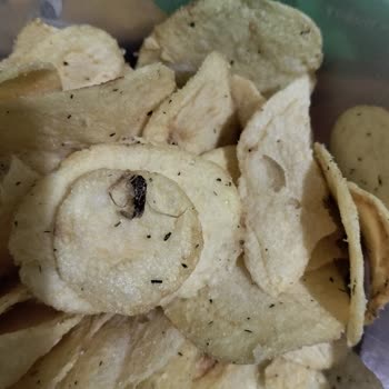 Şok Market Cipso Cipsinde Böcek Keşfi Ve Ücret İadesi Talebi