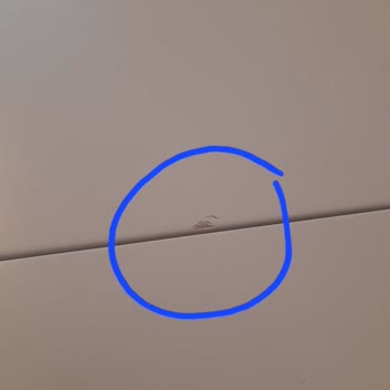 Nora Mobilya Rize Çayeli Şubesinde Kitabe Küsuru Değişimi 4 Ay Süreyle Gecikiyor