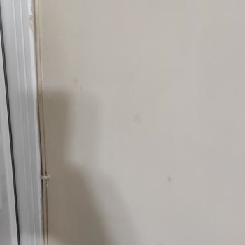 Dyo İç Cephe Boyasında Kısa Sürede Kabarmalar Ve Siyah Lekeler