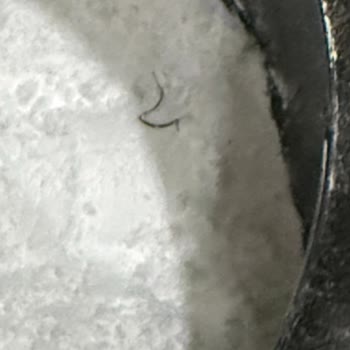 Ürün İçinde Kıl Çıktı Hijyen Sorunu