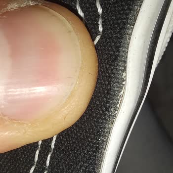 Vans Old Skool Ayakkabısının Hızlı Aşınması Ve Değişim Talebi