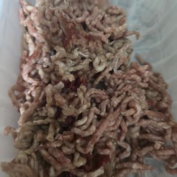 Açtıktan Bir Gün İçinde Üründe Kararma Ve Bozulma Gıda Güvenliği Sorunu