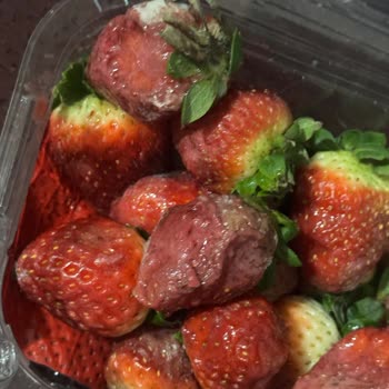 A101 Şubesinde Bozuk Çilek Satışı Ve Gıda Güvenliği Sorunu