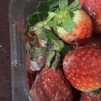 A101 Şubesinde Bozuk Çilek Satışı Ve Gıda Güvenliği Sorunu