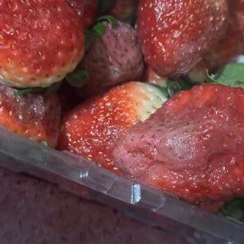 A101 Şubesinde Bozuk Çilek Satışı Ve Gıda Güvenliği Sorunu