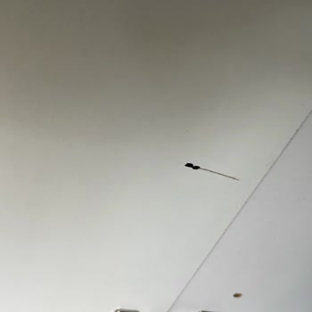 Hasarlı Dolap Teslim Edildi, Şirket Çözüm Sunmadı