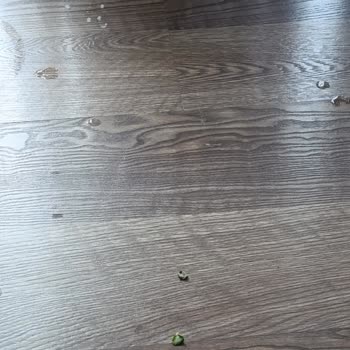 Media Markt’ta Ayıplı Robot Süpürge İçin İade Talebi Reddedildi