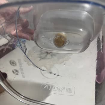 Kirli Damıtma Bölümü Temizlenemiyor Ve Sağlığımı Tehdit Ediyor