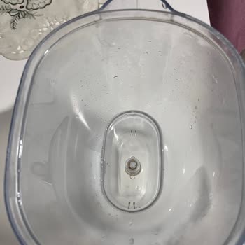 Kirli Damıtma Bölümü Temizlenemiyor Ve Sağlığımı Tehdit Ediyor