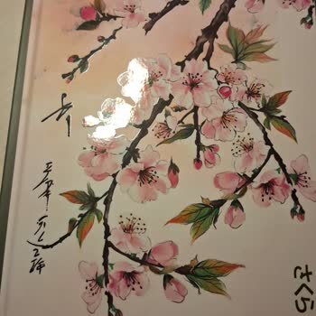 Sakura Defterindeki Alıntı Hatası Hayal Kırıklığına Yol Açtı