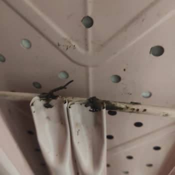 Perilla Ütü Masası Kılıfı Ve Kırık Plastik Parça İçin Yedek Talebi