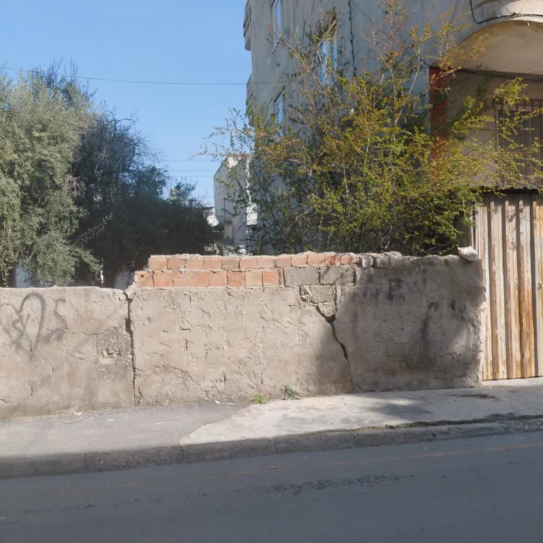 Mersin Akdeniz'de Boş Arsanın Kirli Durumu Ve Fare İstilasına Karşı Acil Çözüm Talebi
