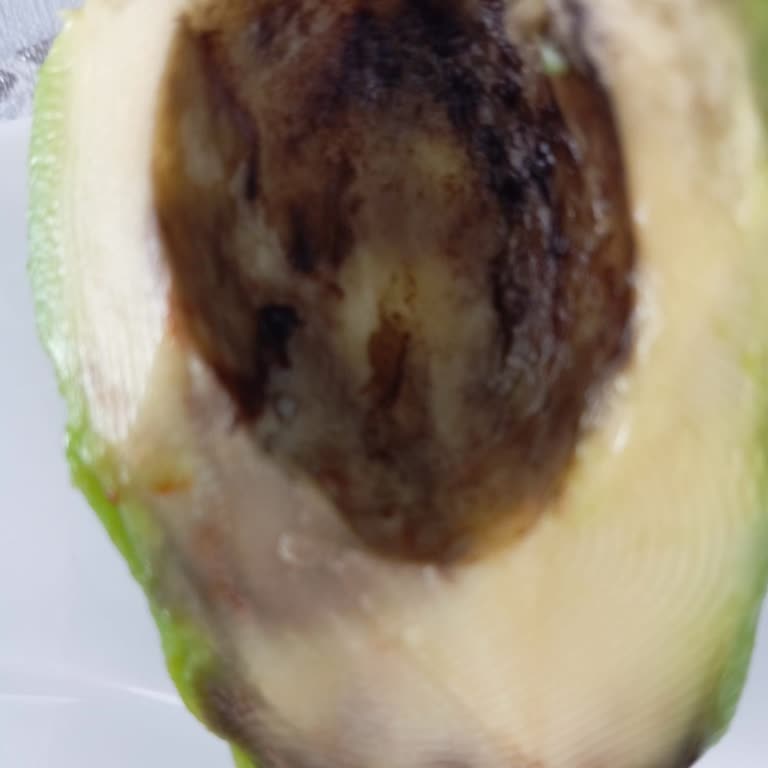 Migros Avokado Alışverişim Bozuk Çıktı: İade Ve Değişim Talebi