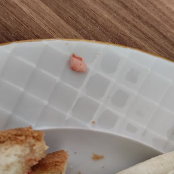 Sucukta Yabancı Sert Cisim Bulundu, Diş Ağrısı Ve Sağlık Endişesi