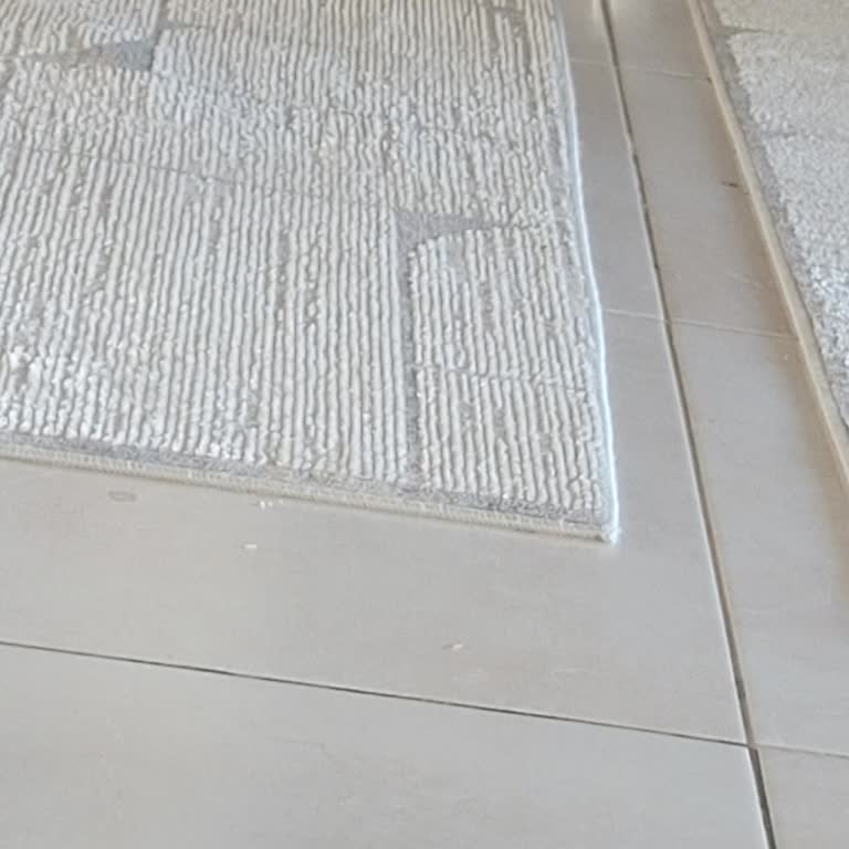 Roborock QL Model Robot Süpürge Temizlik Başlatılamıyor Ve Kendiliğinden Dönüyor