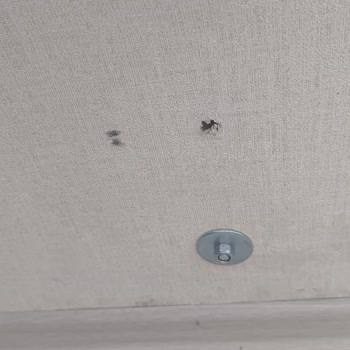 Montajda Çocuk Yaşındaki Ekip Pencere, Parke Ve Duvarı Yok Etti