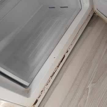 Vestel CD3001 Motor Arızası Ve Paslanma Nedeniyle Garantili Değişim Talebim Reddedildi