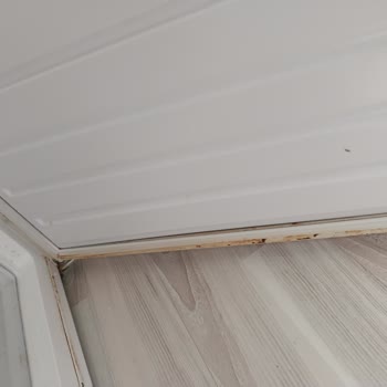 Vestel CD3001 Motor Arızası Ve Paslanma Nedeniyle Garantili Değişim Talebim Reddedildi