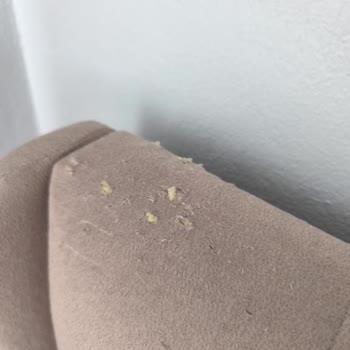 Pati Dostu Olmadığı İddia Edilen Ürünlerin Kısa Sürede Parçalanması Ve Belge Şartı Talebi