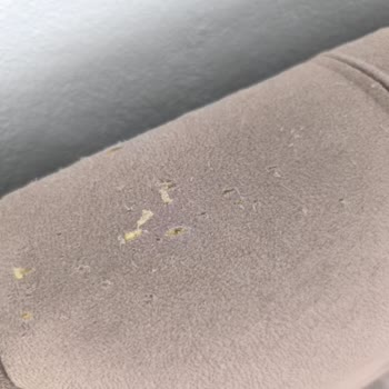 Pati Dostu Olmadığı İddia Edilen Ürünlerin Kısa Sürede Parçalanması Ve Belge Şartı Talebi