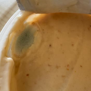 Küflü Nilky Probiyotik Yoğurdu Sağlık Endişesi Yarattı