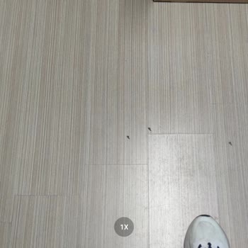 Eki aç