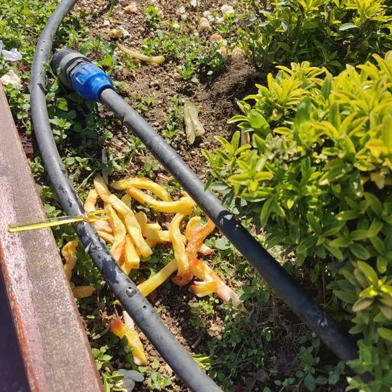 Üsküdar Sahili'nde Çöpler Ve İBB Personelinin Umursamaz Tavrı