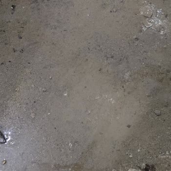 Mamak’ta Binamız Altında Sürekli Su Kaçağı Ve ASKİ’nin Yetersiz Çözümü