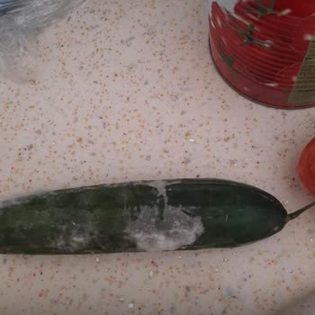 Vestel Buzdolabının Gıdaları Bozulması Ve Servis İlgisizliği