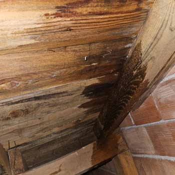 Mega Yönetim (Balıkesir) Apartman Çatısı Aylardır Akıttığı Halde Hala Tamir Edilmedi