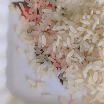 Yayla Pirincinde Böcek Ve Kurt Görüntüsü Sağlık Riski Ve İade Talebi