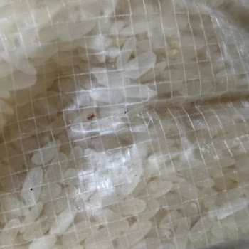 Yayla Pirincinde Böcek Ve Kurt Görüntüsü Sağlık Riski Ve İade Talebi