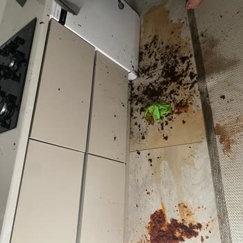 Montaj Hatası Nedeniyle Davlumbaz Düşmesi Ve Ücretsiz Değişim Talebi