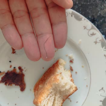 Pastek Şubesinde Bulunan Tel Gıda Güvenliğini Sarsıyor