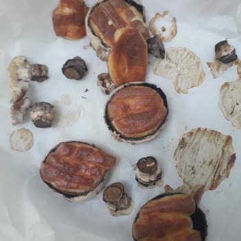 Tam Yağlı Tost Peyniri Erimedi, Mağaza Çözüm Sunmadı