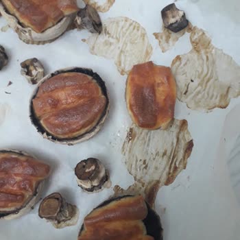 Tam Yağlı Tost Peyniri Erimedi, Mağaza Çözüm Sunmadı