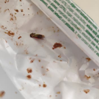 Ambalajdan Çıkan Sinek Nedeniyle Gofrik Çikolatalı Gofrette Hijyen Sorunu Ve Ücret İadesi Talebi