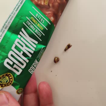 Ambalajdan Çıkan Sinek Nedeniyle Gofrik Çikolatalı Gofrette Hijyen Sorunu Ve Ücret İadesi Talebi