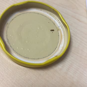 Jalapeno Turşusunda Kurtlar Bulundu, Sağlık Riski Ve İade Talebi