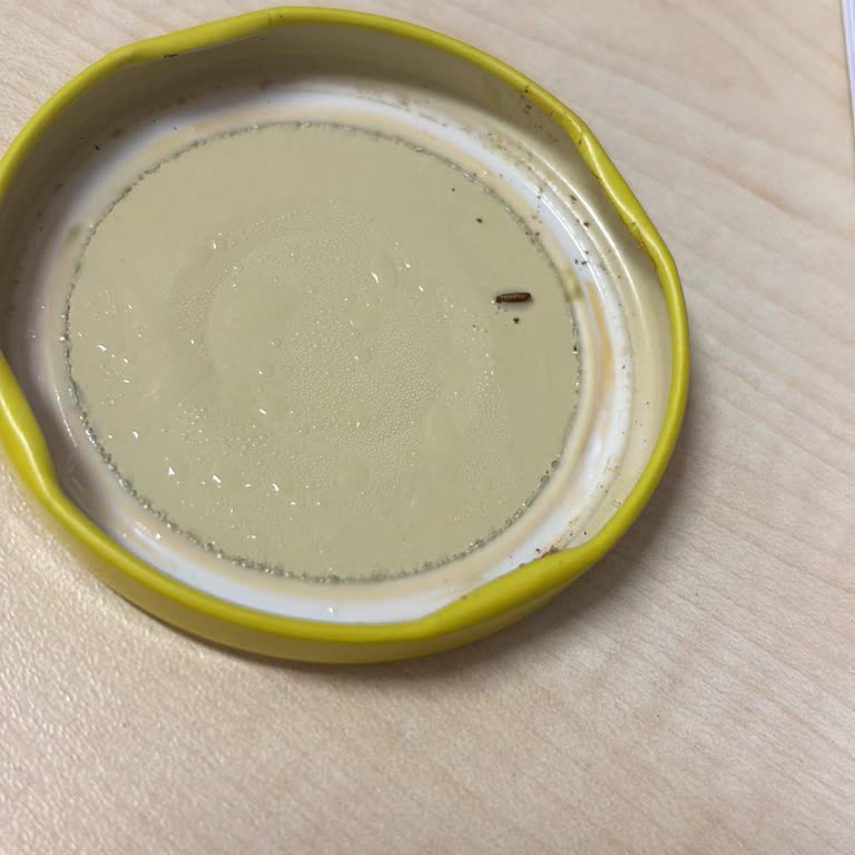 Jalapeno Turşusunda Kurtlar Bulundu, Sağlık Riski Ve İade Talebi