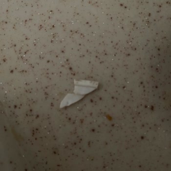 Lifalif Yulaf Barında Yabancı Cisim Bulundu Ürün Değişimi İstiyorum