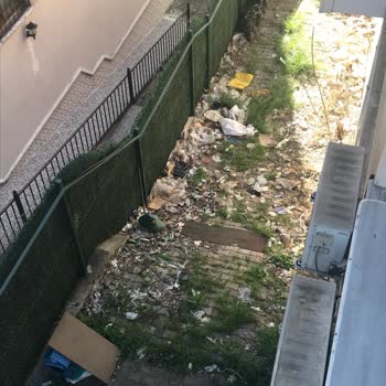 Mahmutbey Sokak'ta Çöp Konteyneri Eksikliği Ve Apartman Arası Alanın Sürekli Kirlenmesi