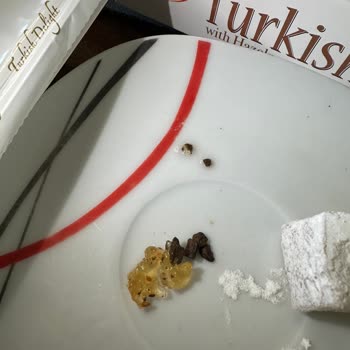 Fındıklı Usaş Lokum'dan Taş Çıktı