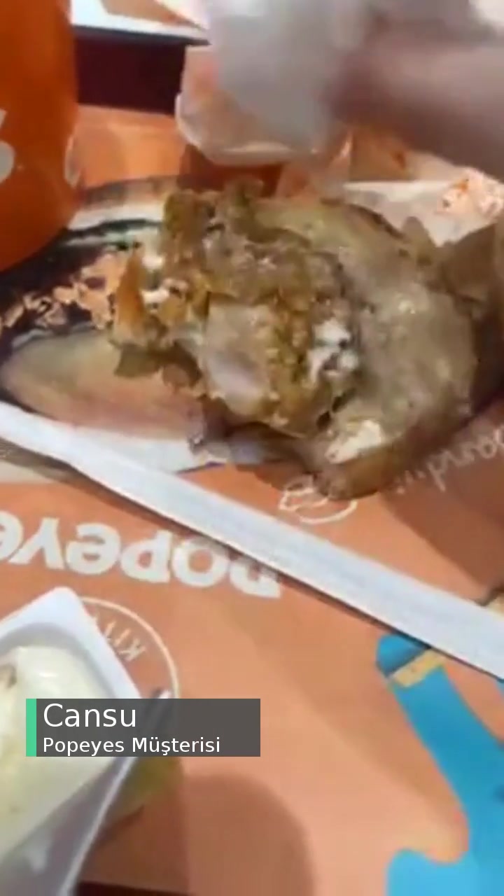 Popeyes Tavuklarının Kemik Ve Yağ Kısmı videonun kapak resmi