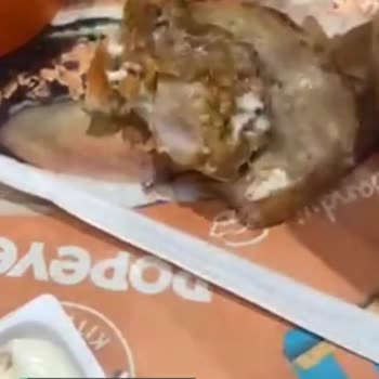 Popeyes Tavuklarının Kemik Ve Yağ Kısmı