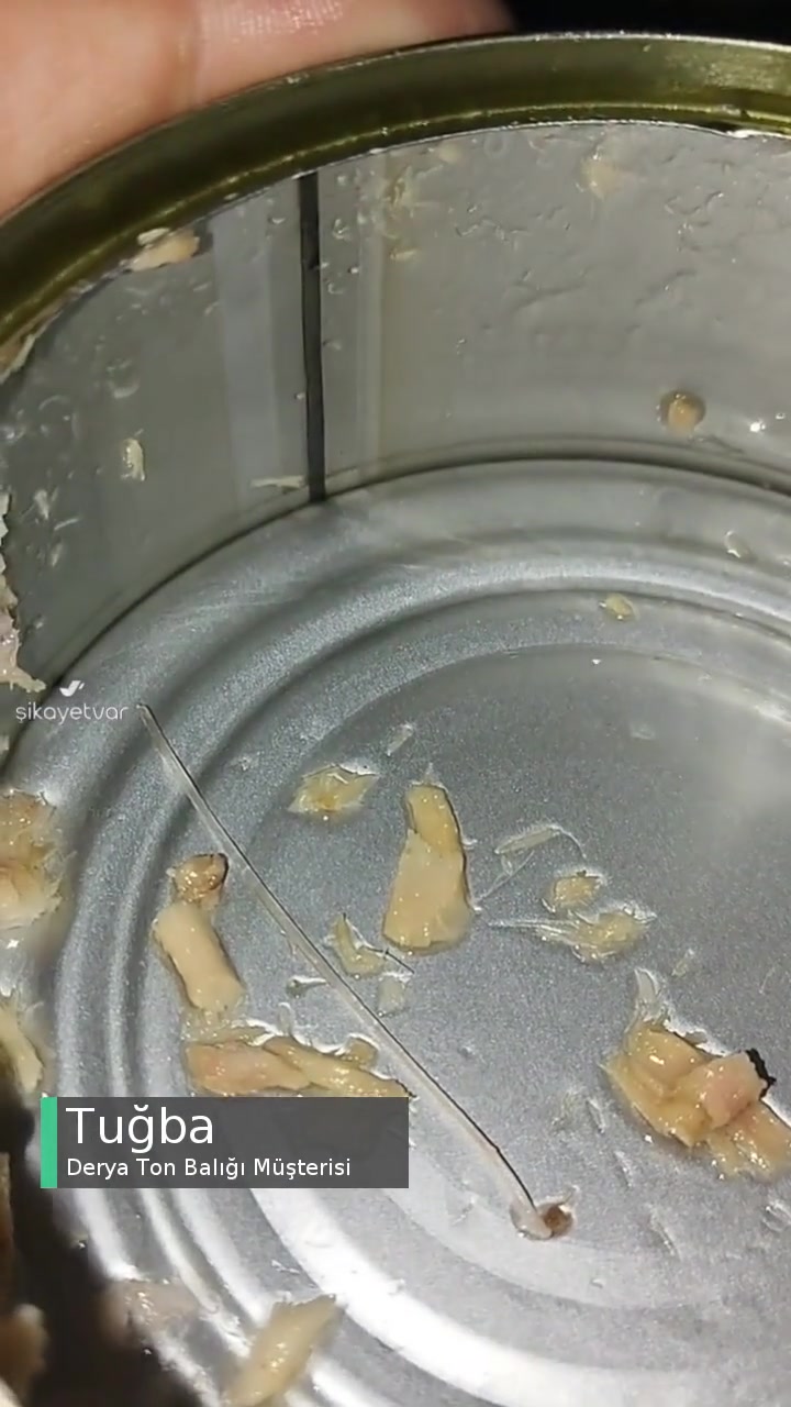 Derya Ton Balığı İçinde Kılçık Var videonun kapak resmi