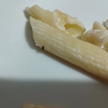 Barilla Penne Ve Fusilli Makarna Paketlerinde Böcek Sorunu