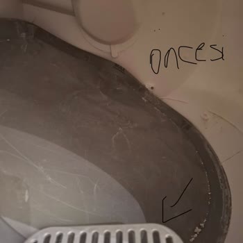 Kiwi Kedi Tuvaleti Serviste Özensiz Ve Kırık Şekilde Dönüyor