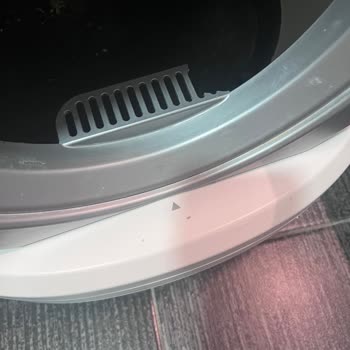 Kiwi Kedi Tuvaleti Serviste Özensiz Ve Kırık Şekilde Dönüyor